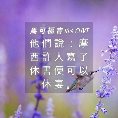 Picture 04 - 馬 可 福 音 10:4 CUVT - 他 們 說 ： 摩 西 許 人 寫 了 休 書 - Bible Verse Picture