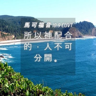 Picture 04 - 馬 可 福 音 10:9 CUVT - 所 以 神 配 合 的 ， 人 不 可 分 開 - Bible Verse Picture