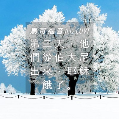 Picture 04 - 馬 可 福 音 11:12 CUVT - 第 二 天 ， 他 們 從 伯 大 尼 出 來 - Bible Verse Picture