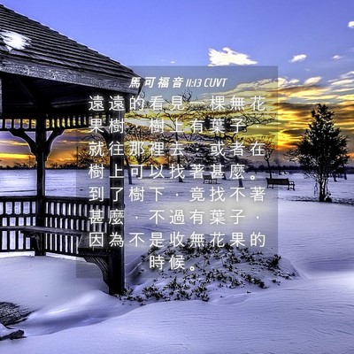 Picture 04 - 馬 可 福 音 11:13 CUVT - 遠 遠 的 看 見 一 棵 無 花 果 樹 ， - Bible Verse Picture
