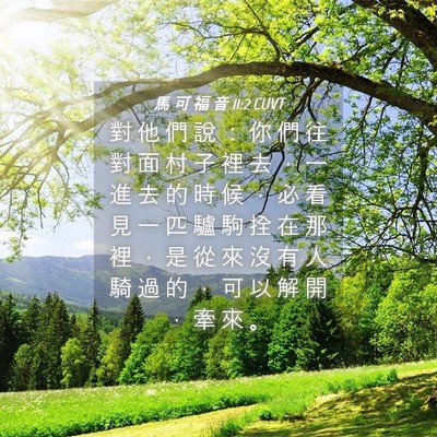 Picture 04 - 馬 可 福 音 11:2 CUVT - 對 他 們 說 ： 你 們 往 對 面 村 子 - Bible Verse Picture