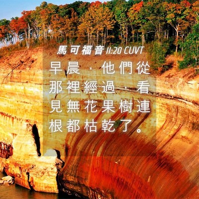 Picture 04 - 馬 可 福 音 11:20 CUVT - 早 晨 ， 他 們 從 那 裡 經 過 ， 看 - Bible Verse Picture