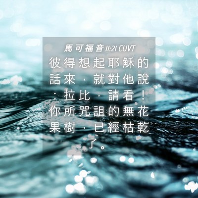 Picture 04 - 馬 可 福 音 11:21 CUVT - 彼 得 想 起 耶 穌 的 話 來 ， 就 對 - Bible Verse Picture