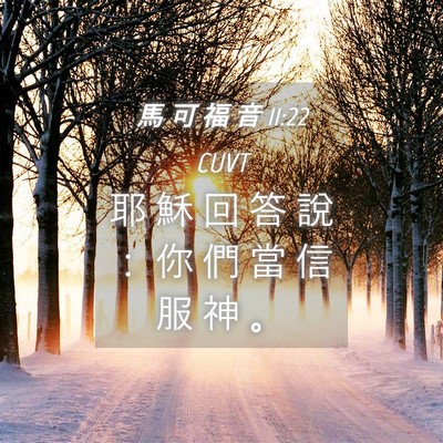 Picture 04 - 馬 可 福 音 11:22 CUVT - 耶 穌 回 答 說 ： 你 們 當 信 服 神 - Bible Verse Picture
