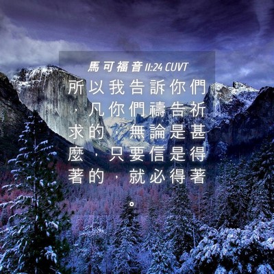Picture 04 - 馬 可 福 音 11:24 CUVT - 所 以 我 告 訴 你 們 ， 凡 你 們 禱 - Bible Verse Picture