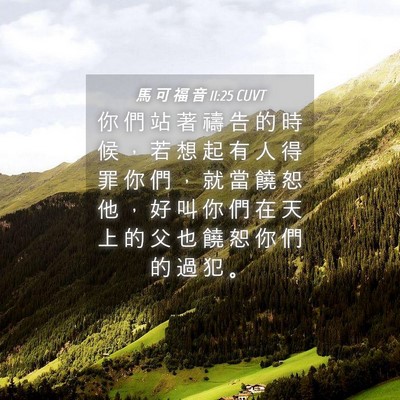 Picture 04 - 馬 可 福 音 11:25 CUVT - 你 們 站 著 禱 告 的 時 候 ， 若 想 - Bible Verse Picture