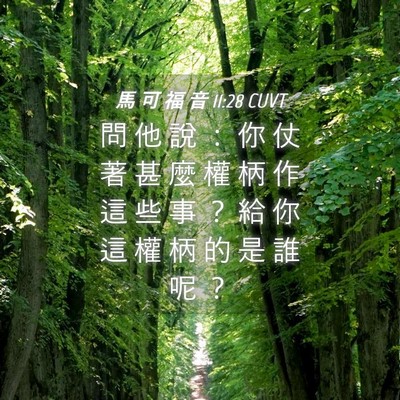 Picture 04 - 馬 可 福 音 11:28 CUVT - 問 他 說 ： 你 仗 著 甚 麼 權 柄 作 - Bible Verse Picture
