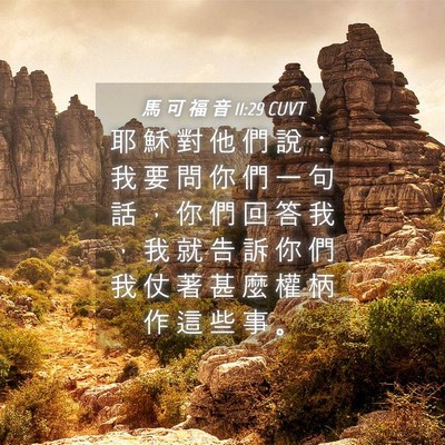 Picture 04 - 馬 可 福 音 11:29 CUVT - 耶 穌 對 他 們 說 ： 我 要 問 你 們 - Bible Verse Picture