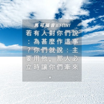 Picture 04 - 馬 可 福 音 11:3 CUVT - 若 有 人 對 你 們 說 ： 為 甚 麼 作 - Bible Verse Picture