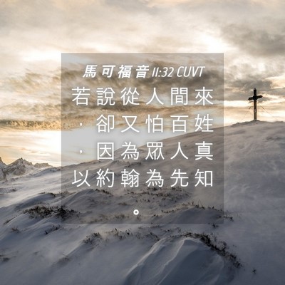 Picture 04 - 馬 可 福 音 11:32 CUVT - 若 說 從 人 間 來 ， 卻 又 怕 百 姓 - Bible Verse Picture