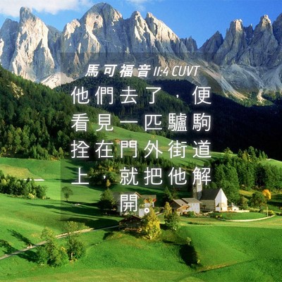 Picture 04 - 馬 可 福 音 11:4 CUVT - 他 們 去 了 ， 便 看 見 一 匹 驢 駒 - Bible Verse Picture