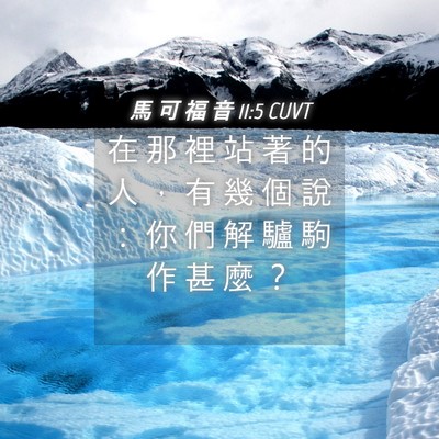 Picture 04 - 馬 可 福 音 11:5 CUVT - 在 那 裡 站 著 的 人 ， 有 幾 個 說 - Bible Verse Picture