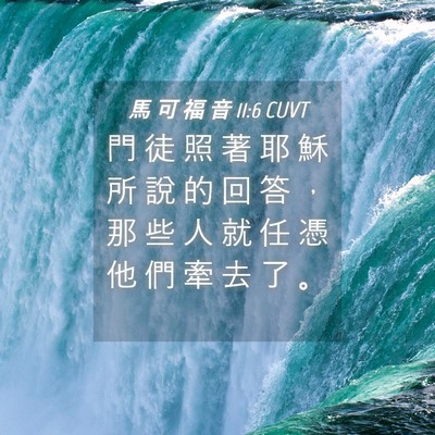 Picture 04 - 馬 可 福 音 11:6 CUVT - 門 徒 照 著 耶 穌 所 說 的 回 答 ， - Bible Verse Picture