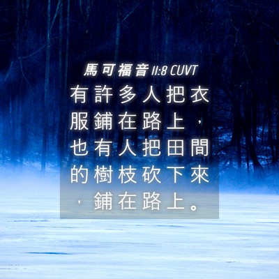 Picture 04 - 馬 可 福 音 11:8 CUVT - 有 許 多 人 把 衣 服 鋪 在 路 上 ， - Bible Verse Picture