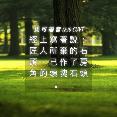 Picture 04 - 馬 可 福 音 12:10 CUVT - 經 上 寫 著 說 ： 匠 人 所 棄 的 石 - Bible Verse Picture