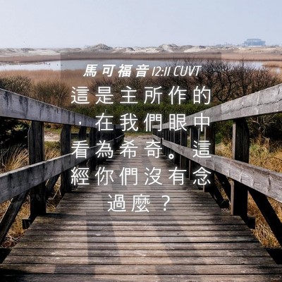 Picture 04 - 馬 可 福 音 12:11 CUVT - 這 是 主 所 作 的 ， 在 我 們 眼 中 - Bible Verse Picture