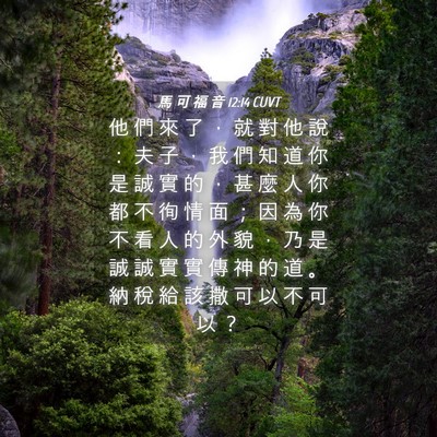 Picture 04 - 馬 可 福 音 12:14 CUVT - 他 們 來 了 ， 就 對 他 說 ： 夫 子 - Bible Verse Picture