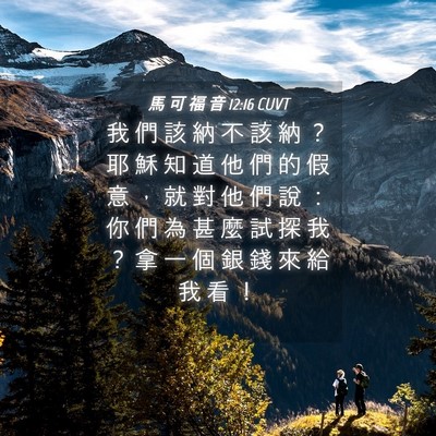 Picture 04 - 馬 可 福 音 12:16 CUVT - 我 們 該 納 不 該 納 ？ 耶 穌 知 道 - Bible Verse Picture