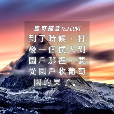 Picture 04 - 馬 可 福 音 12:2 CUVT - 到 了 時 候 ， 打 發 一 個 僕 人 到 - Bible Verse Picture
