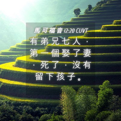 Picture 04 - 馬 可 福 音 12:20 CUVT - 有 弟 兄 七 人 ， 第 一 個 娶 了 妻 - Bible Verse Picture