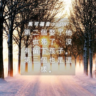 Picture 04 - 馬 可 福 音 12:21 CUVT - 第 二 個 娶 了 他 ， 也 死 了 ， 沒 - Bible Verse Picture