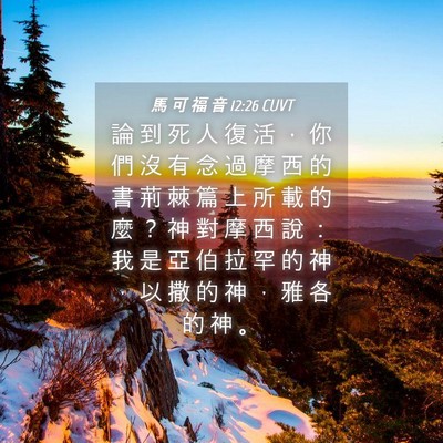 Picture 04 - 馬 可 福 音 12:26 CUVT - 論 到 死 人 復 活 ， 你 們 沒 有 念 - Bible Verse Picture