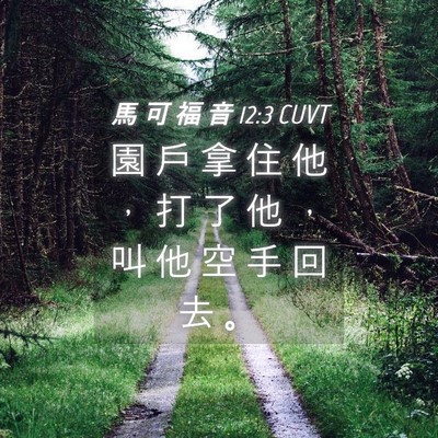 Picture 04 - 馬 可 福 音 12:3 CUVT - 園 戶 拿 住 他 ， 打 了 他 ， 叫 他 - Bible Verse Picture