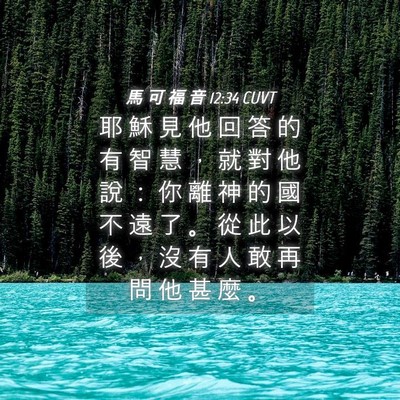 Picture 04 - 馬 可 福 音 12:34 CUVT - 耶 穌 見 他 回 答 的 有 智 慧 ， 就 - Bible Verse Picture