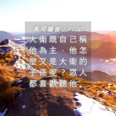 Picture 04 - 馬 可 福 音 12:37 CUVT - 大 衛 既 自 己 稱 他 為 主 ， 他 怎 - Bible Verse Picture