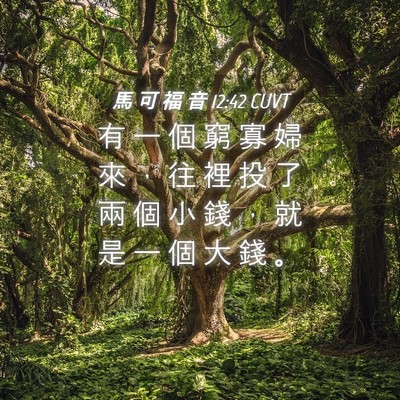 Picture 04 - 馬 可 福 音 12:42 CUVT - 有 一 個 窮 寡 婦 來 ， 往 裡 投 了 - Bible Verse Picture