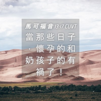 Picture 04 - 馬 可 福 音 13:17 CUVT - 當 那 些 日 子 ， 懷 孕 的 和 奶 孩 - Bible Verse Picture