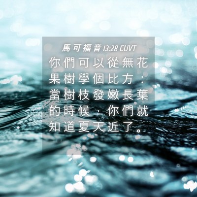Picture 04 - 馬 可 福 音 13:28 CUVT - 你 們 可 以 從 無 花 果 樹 學 個 比 - Bible Verse Picture