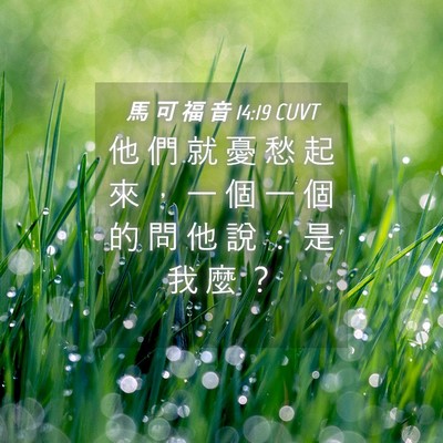 Picture 04 - 馬 可 福 音 14:19 CUVT - 他 們 就 憂 愁 起 來 ， 一 個 一 個 - Bible Verse Picture