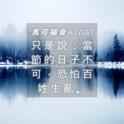 Picture 04 - 馬 可 福 音 14:2 CUVT - 只 是 說 ： 當 節 的 日 子 不 可 ， - Bible Verse Picture
