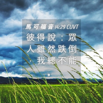 Picture 04 - 馬 可 福 音 14:29 CUVT - 彼 得 說 ： 眾 人 雖 然 跌 倒 ， 我 - Bible Verse Picture