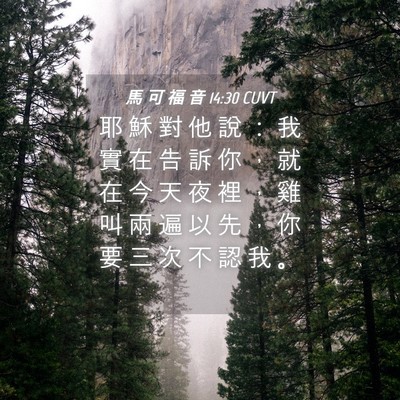 Picture 04 - 馬 可 福 音 14:30 CUVT - 耶 穌 對 他 說 ： 我 實 在 告 訴 你 - Bible Verse Picture