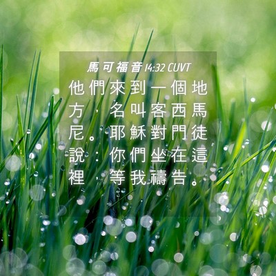 Picture 04 - 馬 可 福 音 14:32 CUVT - 他 們 來 到 一 個 地 方 ， 名 叫 客 - Bible Verse Picture