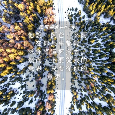 Picture 04 - 馬 可 福 音 14:36 CUVT - 他 說 ： 阿 爸 ！ 父 阿 ！ 在 你 凡 - Bible Verse Picture