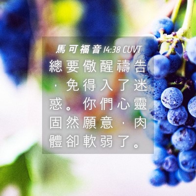 Picture 04 - 馬 可 福 音 14:38 CUVT - 總 要 儆 醒 禱 告 ， 免 得 入 了 迷 - Bible Verse Picture