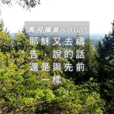 Picture 04 - 馬 可 福 音 14:39 CUVT - 耶 穌 又 去 禱 告 ， 說 的 話 還 是 - Bible Verse Picture