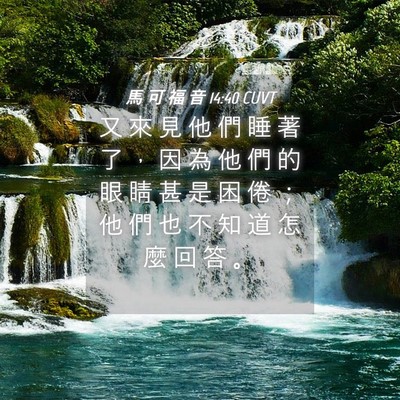 Picture 04 - 馬 可 福 音 14:40 CUVT - 又 來 見 他 們 睡 著 了 ， 因 為 他 - Bible Verse Picture