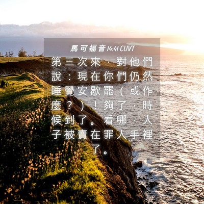Picture 04 - 馬 可 福 音 14:41 CUVT - 第 三 次 來 ， 對 他 們 說 ： 現 在 - Bible Verse Picture