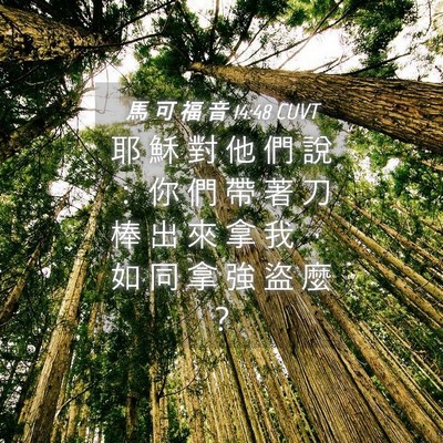 Picture 04 - 馬 可 福 音 14:48 CUVT - 耶 穌 對 他 們 說 ： 你 們 帶 著 刀 - Bible Verse Picture