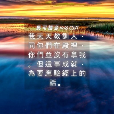 Picture 04 - 馬 可 福 音 14:49 CUVT - 我 天 天 教 訓 人 ， 同 你 們 在 殿 - Bible Verse Picture