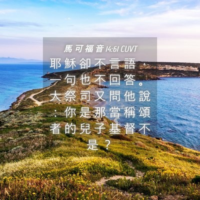 Picture 04 - 馬 可 福 音 14:61 CUVT - 耶 穌 卻 不 言 語 ， 一 句 也 不 回 - Bible Verse Picture