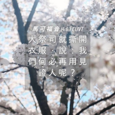 Picture 04 - 馬 可 福 音 14:63 CUVT - 大 祭 司 就 撕 開 衣 服 ， 說 ： 我 - Bible Verse Picture