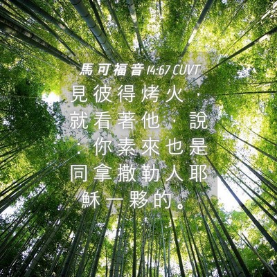 Picture 04 - 馬 可 福 音 14:67 CUVT - 見 彼 得 烤 火 ， 就 看 著 他 ， 說 - Bible Verse Picture