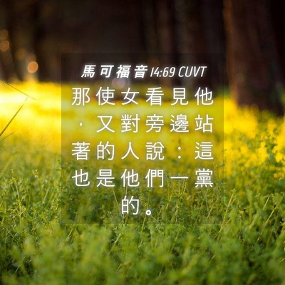 Picture 04 - 馬 可 福 音 14:69 CUVT - 那 使 女 看 見 他 ， 又 對 旁 邊 站 - Bible Verse Picture