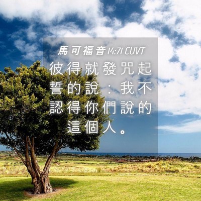 Picture 04 - 馬 可 福 音 14:71 CUVT - 彼 得 就 發 咒 起 誓 的 說 ： 我 不 - Bible Verse Picture