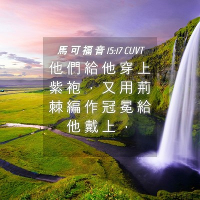 Picture 04 - 馬 可 福 音 15:17 CUVT - 他 們 給 他 穿 上 紫 袍 ， 又 用 荊 - Bible Verse Picture